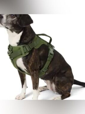 Top Paw Adjustable Neoprene Comfort Dog Harness in Green Size L